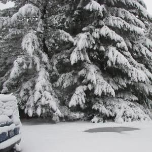 Meet your Posher, Jane